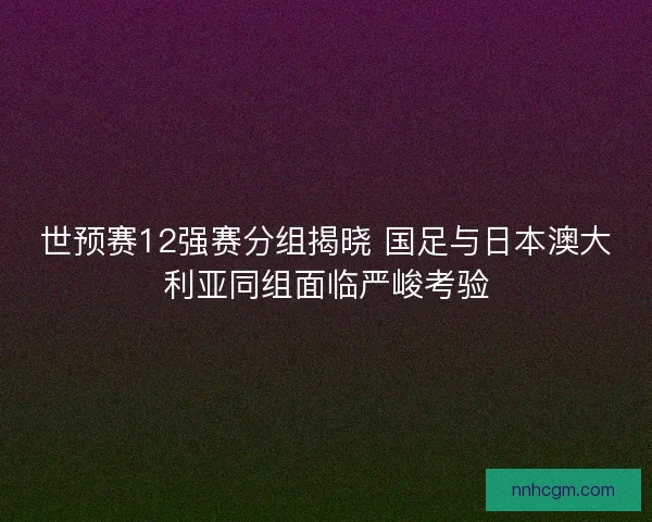 世预赛12强赛分组揭晓 国足与日本澳大利亚同组面临严峻考验